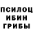 Псилоцибиновые грибы Psilocybine cubensis SHIRLEY SHOW