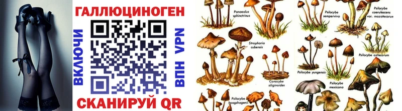 mega вход  Судак  Галлюциногенные грибы Magic Shrooms 