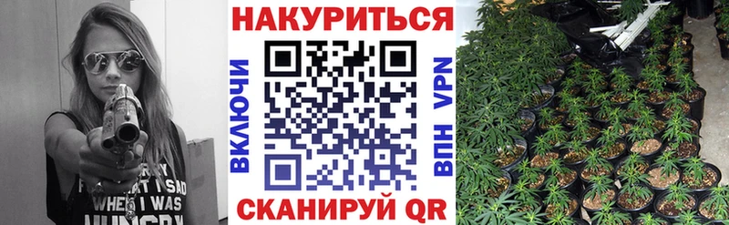 Канабис тримм Судак